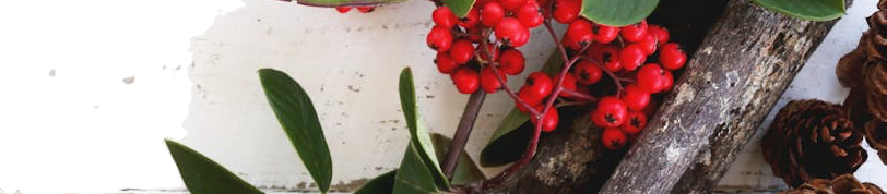 Christmas Decoration