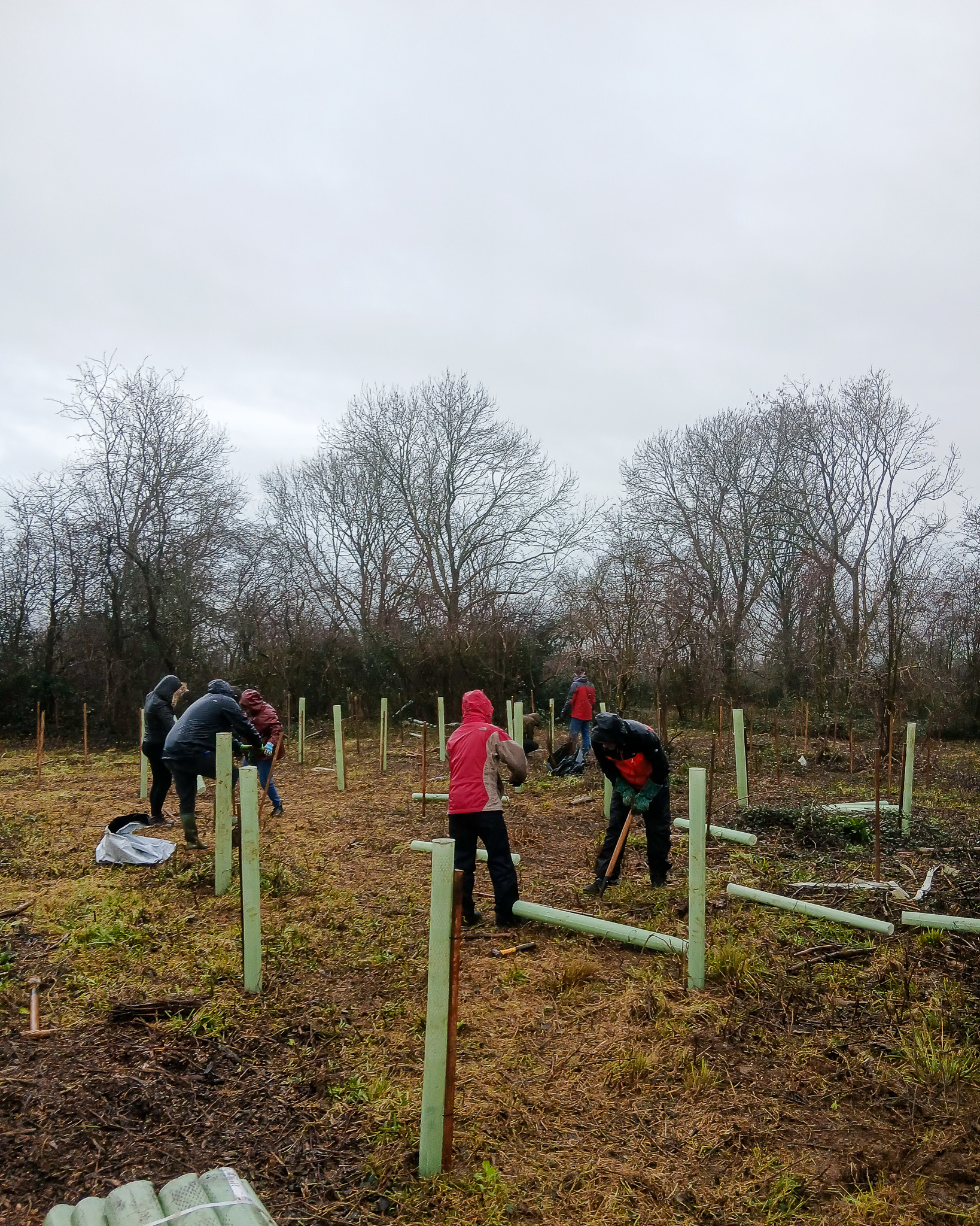 Preserving Lancing Ring for future generations